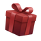 Mystery Gift