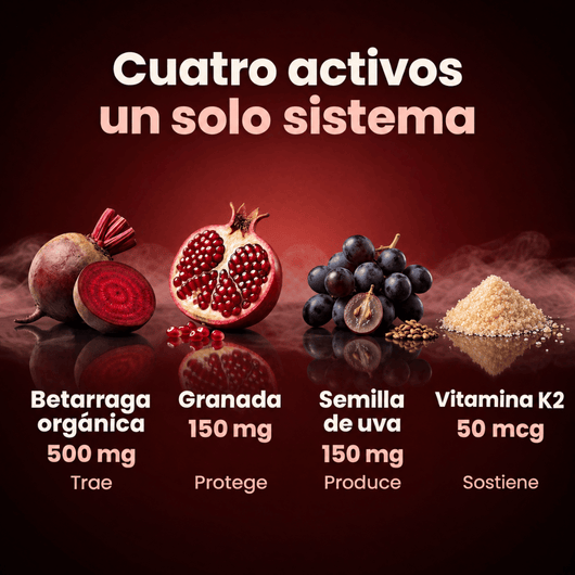 Cirqlara Óxido Nítrico Triple Vía, Reactiva tu Circulación Natural